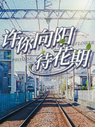 许你向阳待花期 封面