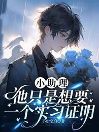 小助理他只是想要一个实习证明 封面