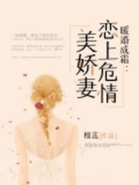 暖婚成霜:恋上危情美娇妻 封面