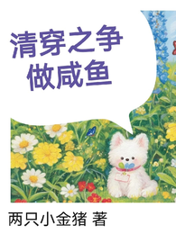 清穿之争做咸鱼 封面