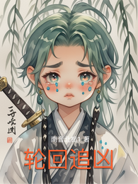 轮回追凶 封面