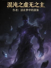 混沌之虚无之主 封面