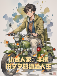 小巷人家：手握拼夕夕的潇洒人生 封面