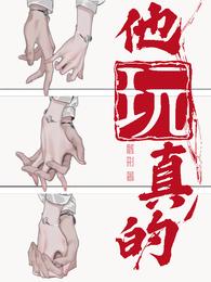 他玩真的 封面