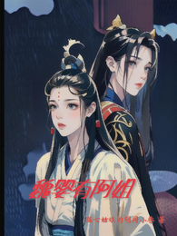 魏婴有阿姐 封面