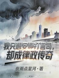 我只想安静打官司,却成律政传奇 封面