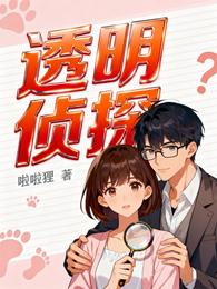 透明侦探 封面