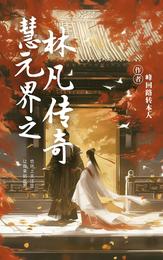 慧元界之林凡传奇 封面