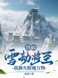 修仙:雪劫将至,我御火附魔万物 封面