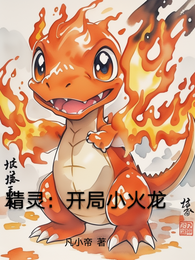精灵:开局小火龙 封面