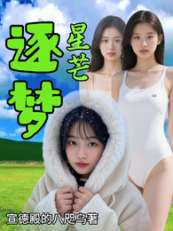 逐梦星芒 封面