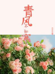 青风不知寒 封面