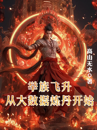 举族飞升,从大数据炼丹开始 封面