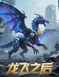 龙飞之后 封面