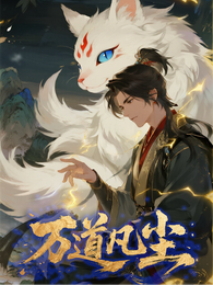 万道凡尘 封面