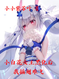 小白花女主黑化后,我插翅难飞 封面