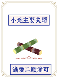 小地主娶夫婿 封面