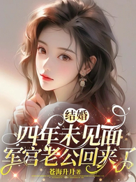 结婚四年未见面,军官老公回来了 封面