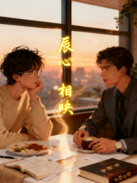 辰心相映 封面