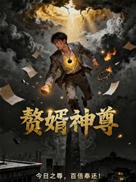 赘婿神尊 封面