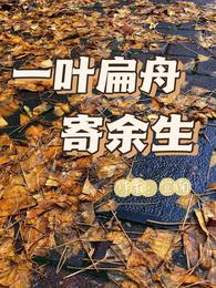 一叶扁舟寄余生 封面