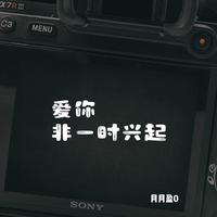 爱你非一时兴起 封面