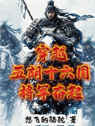穿越五胡十六国,将军奋起 封面