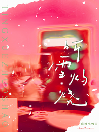 听雪灼烧 封面
