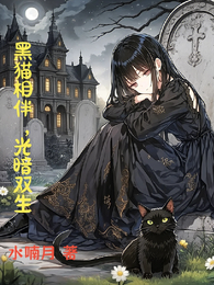 黑猫相伴,光暗双生 封面