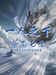 一人之下之苍龙七宿 封面