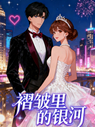褶皱里的银河 封面