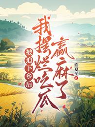 被迫下乡后，我摆烂吃瓜赢麻了 封面