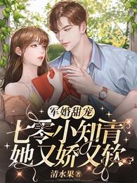 军婚甜宠:七零小知青她又娇又软 封面