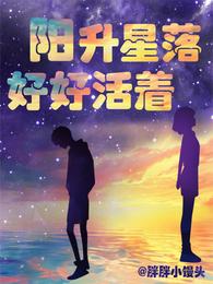 阳升星落，好好活着 封面