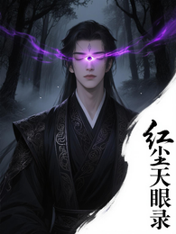 红尘天眼录 封面