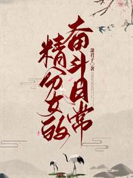 精分女的奋斗日常 封面
