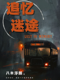 追忆迷途 封面