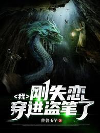 我，刚失恋，穿进盗笔了 封面