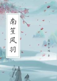 南笙风羽 封面