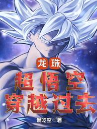 龙珠：超悟空穿越过去 封面