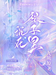沉在梨子里 封面