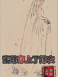 蜜蜂穿上了嫁衣 封面
