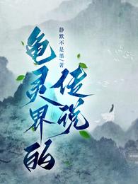 龟灵界的传说 封面