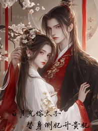 白月光嫁太子后,替身侧妃升贵妃 封面