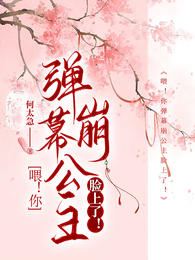 喂!你弹幕崩公主脸上了! 封面