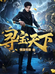 寻宝天下 封面