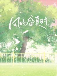 风吻盛夏时 封面