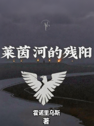莱茵河的残阳 封面