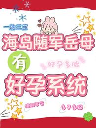 海岛随军岳母有好孕系统 封面