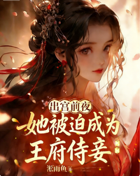 出宫前夜,她被迫成为王府侍妾 封面